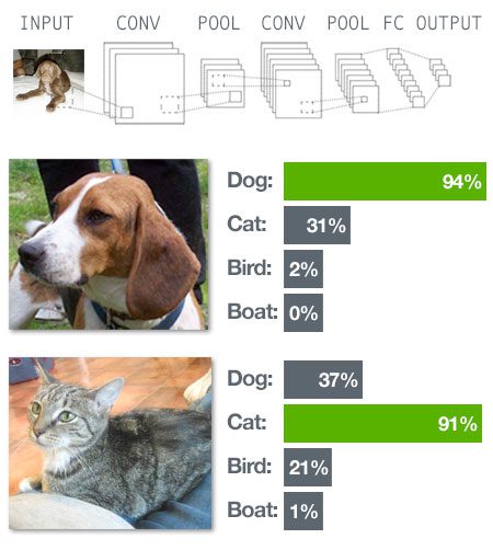 Figure 1: Learn how to utilize Deep Learning and Convolutional Neural Networks to classify the contents of images inside the PyImageSearch Gurus course.