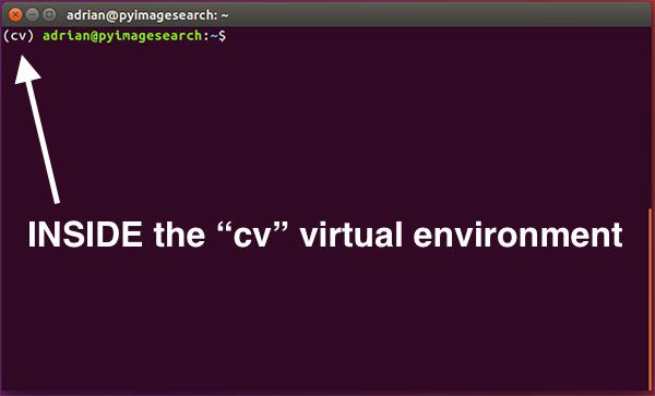 Figure 1: Make sure you see the "(cv)" text on your prompt, indicating that you are in the cv virtual environment.