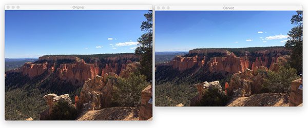 Figure 9: (Left) The original image. (Right) Removing horizontal seams from the image to decrease height.