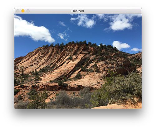 Figure 6: Resizing an image using traditional interpolation techniques.