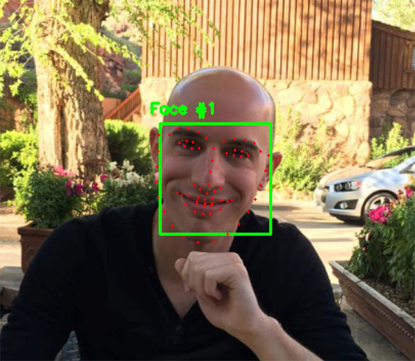 Apply facial landmarks to images with OpenCV and dlib.