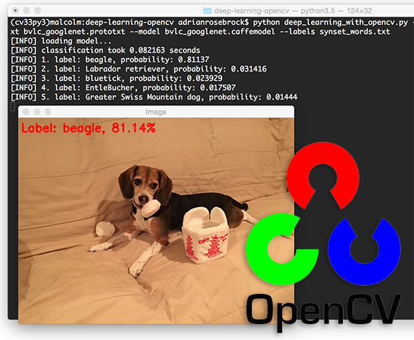 Perform deep learning with OpenCV and Python.
