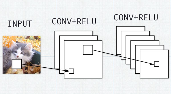 Discover how to use Convolutional Neural Networks to train your own powerful image classifiers from scratch