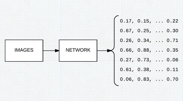 Use pre-trained networks to automatically extract discriminative features from images