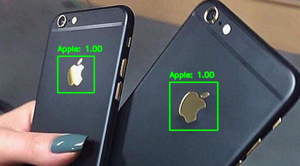Train your own custom deep learning object detector to detect logs in images