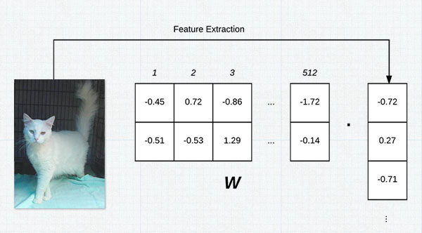 Master the fundamentals of machine learning and neural networks