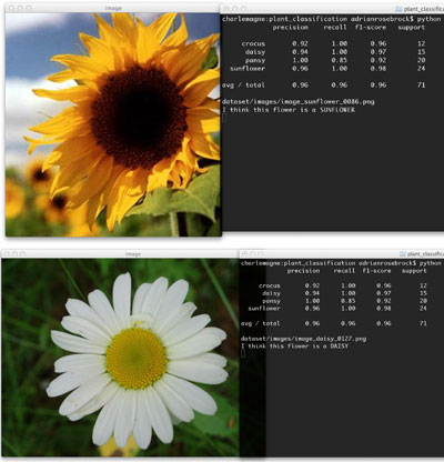 Image classification made easy with Python and OpenCV