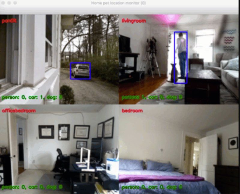 live home camera feeds