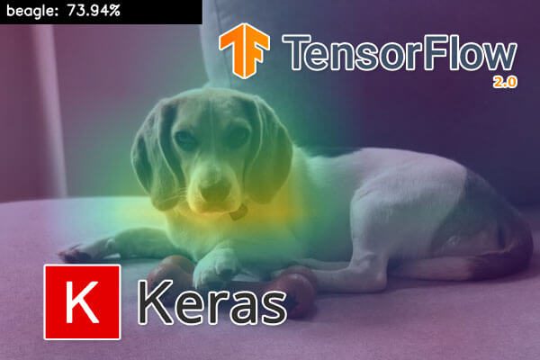 Grad-CAM: Visualize class activation maps with Keras, TensorFlow, and Deep Learning