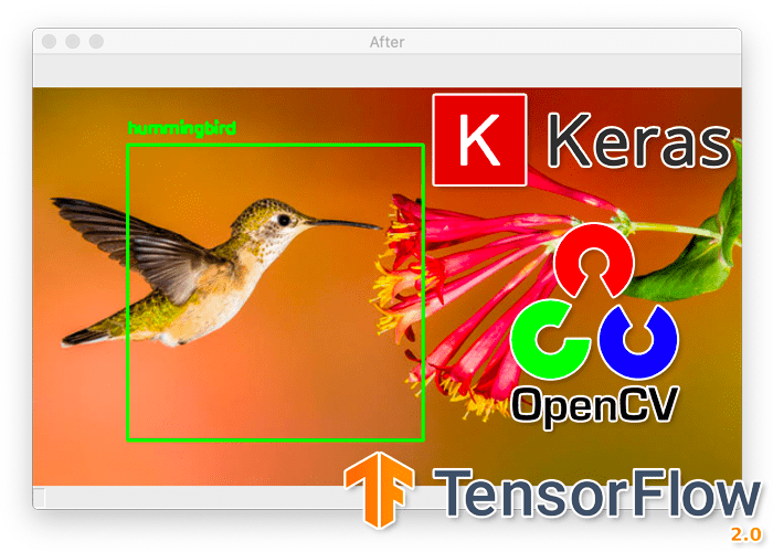 Turning any CNN image classifier into an object detector with Keras, TensorFlow, and OpenCV